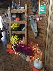 IMG-20211226-WA0127