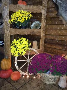 IMG-20211226-WA0125