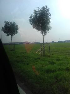 IMG-20211226-WA0184