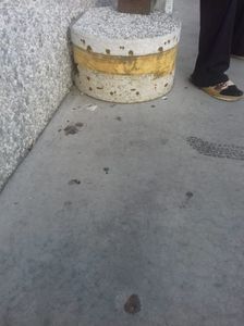 IMG-20211226-WA0169