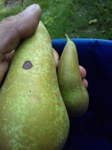 IMG-20211226-WA0183