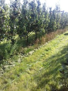 IMG-20211226-WA0182