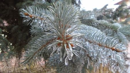 27 dec. 2021 - Vreme caineasca cu ploaie inghetata