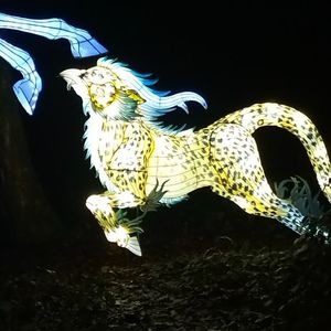 IMG20211223175531