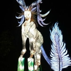 IMG20211223175414