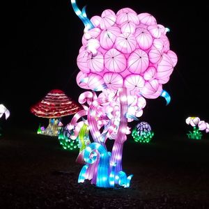 IMG20211223172316