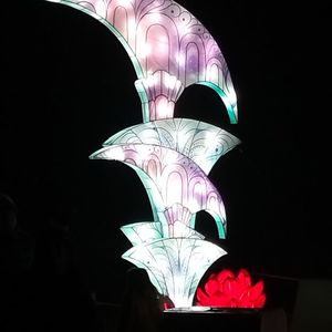 IMG20211223172223