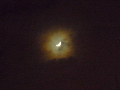 Ninsoare la clar de luna!; P3190191
