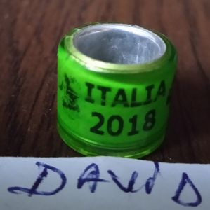 2018 -Italia-PIERDUT