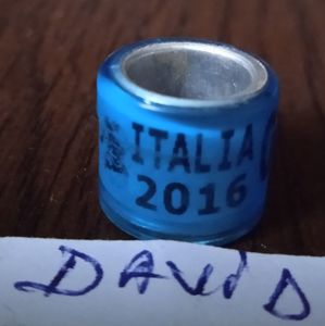 2016 -Italia