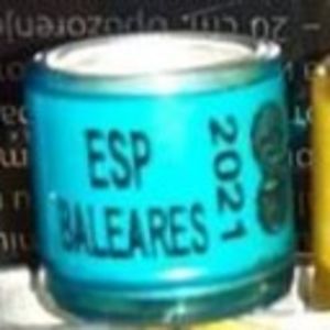 2021-Spania