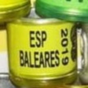 2019-Spania
