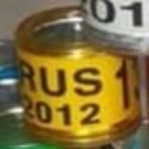 2012-Rusia