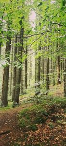 IMG-20210819-WA0110