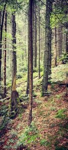 IMG-20210819-WA0042