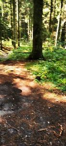 IMG-20210819-WA0120