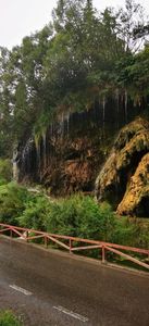 IMG-20210819-WA0057