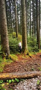 IMG-20210819-WA0049