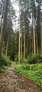 IMG-20210819-WA0048