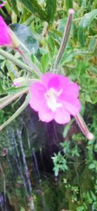 IMG-20210819-WA0050