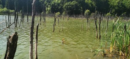 IMG-20210819-WA0067