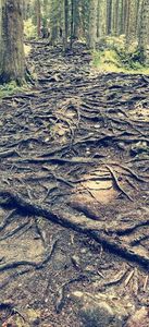 IMG-20210819-WA0036