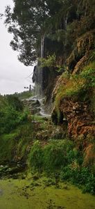 IMG-20210819-WA0055