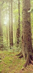 IMG-20210819-WA0111