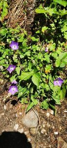 IMG-20210819-WA0147