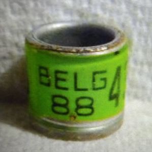 1988-BELGIA
