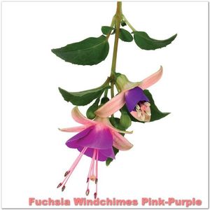 Windchimes-Pink-Purple