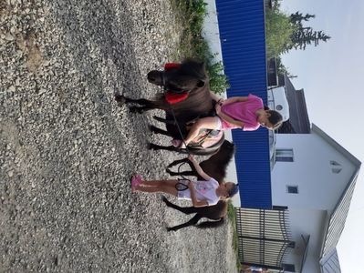 Felicia 8 ani și Amadeus 4 luni 9