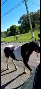 Screenshot_20220127-061512_WhatsApp