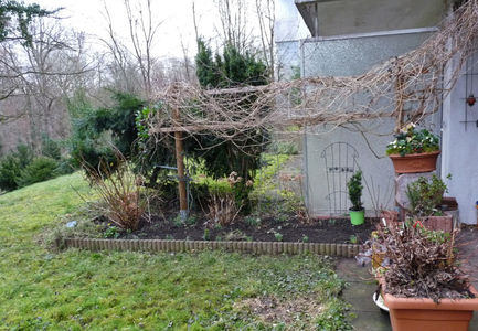 03.Februarie; P3190427
