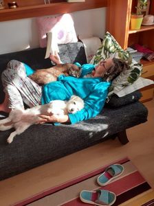 IMG-20211114-WA0007