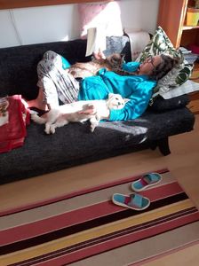 IMG-20211114-WA0009