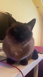 IMG-20211207-WA0014