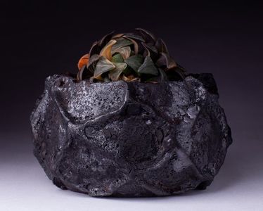 Pipyr Pottery