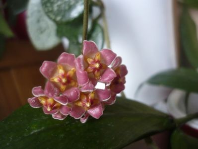 P1510365