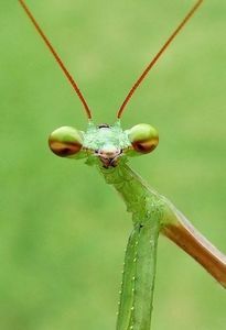 music video out now; https://www.youtube.com/watch?v=xvPk7EXxdUE
