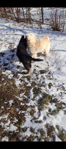 Screenshot_20220122-134548_Gallery