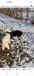 Screenshot_20220122-134526_Gallery