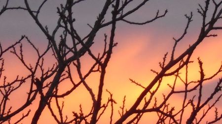 Apus de soare in ianuarie