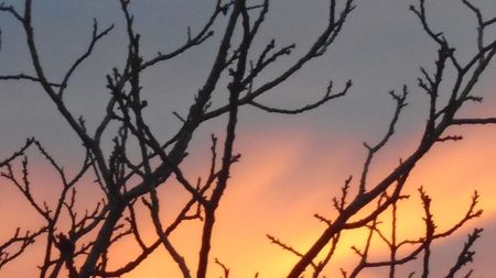 Apus de soare in ianuarie