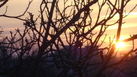 Apus de soare si ....; 2 febr. 2021

