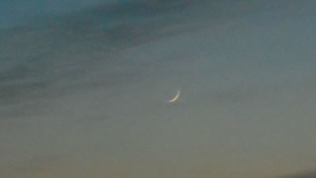 ....Luna noua in Pesti; 2 febr. 2021
