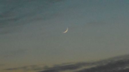 ....Luna noua in Pesti; 2 febr. 2021
