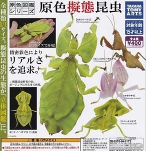 from our fans in japan ᐵ ᐵ ᐵ