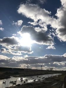 IMG-20220212-WA0001