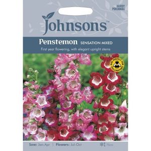 PENSTEMON-Sensation-Mixed-